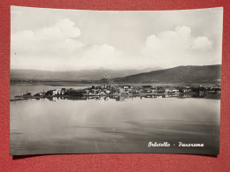 Cartolina - Orbetello ( Grosseto ) - Panorama - 1966 - Grosseto