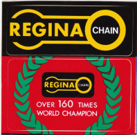 ADESIVO - VINTAGE - REGINA CHAIN - OVER 160 TIMES WORLD CHAMPION - Otros & Sin Clasificación