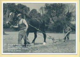 Les Frères PERIAT Ouvrant Les Raies De Pommes De Terre Avec Leur Attelage De Cheval (Philippe CHMIELEWSKI) - Paesani