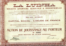 LA LUINHA - S.A. Agricole & Industrielle; Action De Jouisance - Altri & Non Classificati