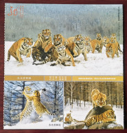 Northeast Tiger,CN 10 Heilongjiang Attractions World Largest Artificial Breeding And Nurturing Northeast Tiger Base PSC - Big Cats (cats Of Prey)