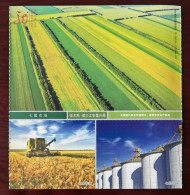 Rice Field Combine Harvester,Grain Storage Tank,CN 10 Seven-stars Farm Nat'l Modern Agriculture Demonstration Window PSC - Agriculture
