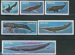 South-West Africa 1980 Whales 6v, Mint NH, Nature - Sport - Sea Mammals - Diving - Immersione