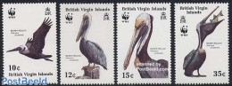 Virgin Islands 1988 WWF, Birds 4v, Mint NH, Nature - Birds - World Wildlife Fund (WWF) - Iles Vièrges Britanniques