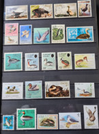 Collection De Timbres Sur Le Thème Oiseaux. - Collections (sans Albums)