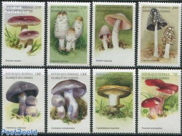 Comoros 1999 European Mushrooms 8v, Mint NH, Nature - Mushrooms - Funghi