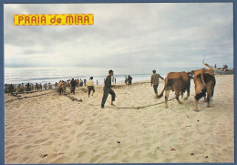 Praia De Mira - Saída Do Mar. Faina Piscatória - Leiria