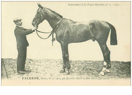 Hippisme.n°37648.falerno.alezan .1910.CHEVAUX.SUPPLEMENT A LA FRANCE CHEVALINE.course.cheval.jokey. - Reitsport