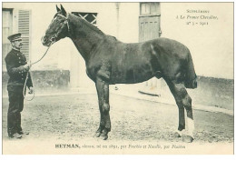 Hippisme.n°37641.hetman.alezan.1911.CHEVAUX.SUPPLEMENT A LA FRANCE CHEVALINE.course.cheval.jokey. - Reitsport