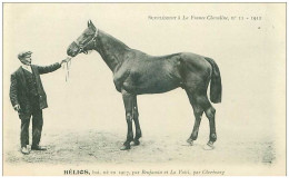 Hippisme.n°37635.hélios.bai.1911.CHEVAUX.SUPPLEMENT A LA FRANCE CHEVALINE.course.cheval.jokey. - Reitsport