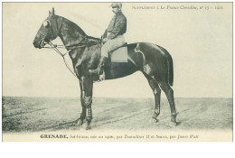 Hippisme.n°37628.grenade.bai Brune .1911.CHEVAUX.SUPPLEMENT A LA FRANCE CHEVALINE.course.cheval.jokey. - Reitsport