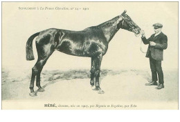 Hippisme.n°37624.hebe.alezane .1911.CHEVAUX.SUPPLEMENT A LA FRANCE CHEVALINE.course.cheval.jokey. - Reitsport