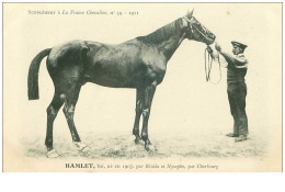 Hippisme.n°37613.hamlet.bai .1911.CHEVAUX.SUPPLEMENT A LA FRANCE CHEVALINE.course.cheval.jokey. - Horse Show