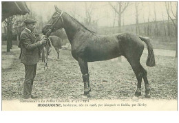 Hippisme.n°37608.iroquoise.bai Brune .1911.CHEVAUX.SUPPLEMENT A LA FRANCE CHEVALINE.course.cheval.jokey. - Hípica