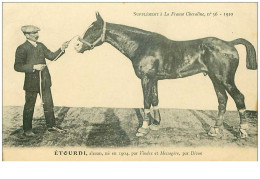 Hippisme.n°35988.étourdi.alezan .1910.CHEVAUX.SUPPLEMENT A LA FRANCE CHEVALINE.dos Blanc.course.cheval.jokey. - Horse Show