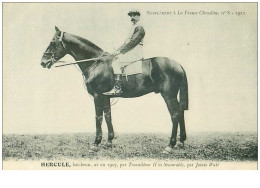 Hippisme.n°37637.hercule.bai Brun.1911.CHEVAUX.SUPPLEMENT A LA FRANCE CHEVALINE.course.cheval.jokey. - Reitsport