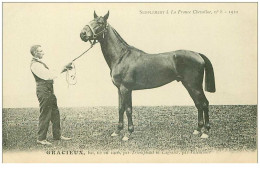 Hippisme.n°35982.gracieux.baie .1910.CHEVAUX.SUPPLEMENT A LA FRANCE CHEVALINE.dos Blanc.course.cheval.jokey. - Hípica