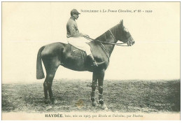 Hippisme.n°35974.haydée.baie .1910.CHEVAUX.SUPPLEMENT A LA FRANCE CHEVALINE.dos Blanc.course.cheval.jokey. - Hippisme