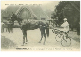 Hippisme.n°35962.herzegovine.baie.1913.CHEVAUX.sulky.SUPPLEMENT A LA FRANCE CHEVALINE.dos Blanc.course.cheval.jokey. - Hípica