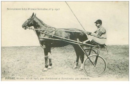 Hippisme.n°35959.foudre.alezan.1913.CHEVAUX.sulky.SUPPLEMENT A LA FRANCE CHEVALINE.dos Blanc.course.cheval.jokey. - Hippisme