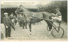 Hippisme.n°35961.hegire.baie.1913.CHEVAUX.sulky.SUPPLEMENT A LA FRANCE CHEVALINE.dos Blanc.course.cheval.jokey. - Reitsport