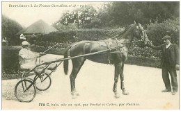 Hippisme.n°35958.iva C.bai.1913.CHEVAUX.sulky.SUPPLEMENT A LA FRANCE CHEVALINE.dos Blanc.course.cheval.jokey. - Reitsport