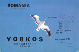Romania Radio Amateur QSL Post Card Y03CD Y08KOS - Amateurfunk