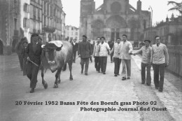 [33] Gironde > Bazas Fete Des Boeufs Gras 20 Février 1952 Photo 01 Reproduction  Photographie Journal Sud Ouest - Bazas