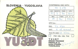 Yugoslavia Radio Amateur QSL Post Card Y03CD YU3XDT - Amateurfunk