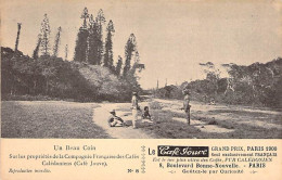 Nouvelle Calédonie - Un Beau Coin Sur Les Propriétés De La Compagnie Française Des Cafés  -  Carte Postale Ancienne - Nieuw-Caledonië