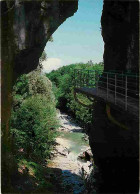 74 - Lovagny - Gorges Du Fier - L'entrée Des Gorges - CPM - Voir Scans Recto-Verso - Lovagny