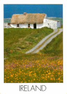 Irlande - Irish Cottage - CPM - Voir Scans Recto-Verso - Other & Unclassified