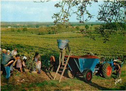 Vignes - Cognac Hennessy - Scènes De Vendanges - Tracteur - CPM - Voir Scans Recto-Verso - Vignes