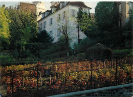 Vignes - Paris - Les Vignes De Montmartre - CPM - Voir Scans Recto-Verso - Vignes