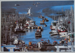 HUITRE / OSTREICULTURE VENDEE ATLANTIQUE - Retour De Marée / Port Ostréicole Du Bec - Carte Publicitaire - Pêche