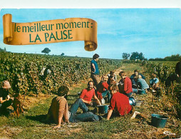 Vignes - Scènes De Vendanges - A L'ombre Des Ceps - CPM - Voir Scans Recto-Verso - Vignes