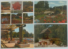 LYON (69/Rhône) - Parc Tete D'Or - Roseraie - Lot De 4 Cartes Postales - Lyon 6