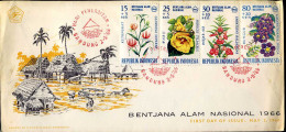 Indonesia - FDC - Bentjana Alam Nasional 1966 - Indonesien