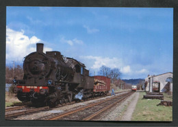 Carte-photo Moderne "Locomotive à Vapeur 040 En Tête D'un Train De Marchandise En Gare De Luzarches - Années 60" - Estaciones Con Trenes