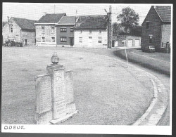 1980  --  BELGIQUE . ODEUR . VUE DU VILLAGE . 4A862 - Ohne Zuordnung