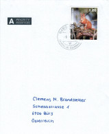 BST Eichhörnchen 2024 Sciurus Vulgaris - Storia Postale