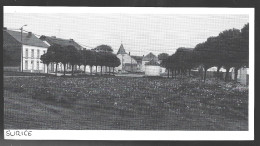 1980  --  BELGIQUE . SURICE . VUE DU VILLAGE . 4A866 - Ohne Zuordnung