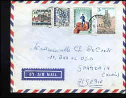 Cover Naar Shardaïa, Algerie - Storia Postale