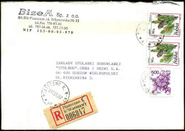 Registered Cover  - "Bizea Sp. Z O.o." - Lettres & Documents