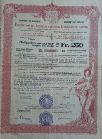 Koninkrijk Belgie - Verbond Der Samenwerkende Vennootschappen Voor Oorlogsschade - 1921 - Obligation 250 Fr 4% - Altri & Non Classificati