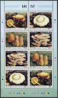 NORTH KOREA - 2003 - MINIATURE SHEET MNH ** - Various Mushrooms - Corea Del Nord