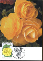 2905 - MK - Gentse Floraliën X  - 1991-2000