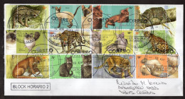 Argentina - 2023 - Cats - Felins - Modern Stamps - Diverse Stamps - Lettres & Documents