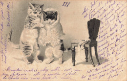 Chats Humanisés * CPA Illustrateur 1901 * Chat Cat Cats Katze * éventail Range Mode - Katten