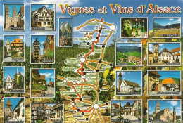 *CPM - FRANCE - ALSACE - Vignes Et Vins - Route Des Vins De Chatenois à Colmar - Alsace
